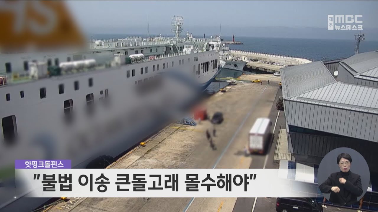 핫핑크돌핀스 불법 이송 큰돌고래 몰수해야