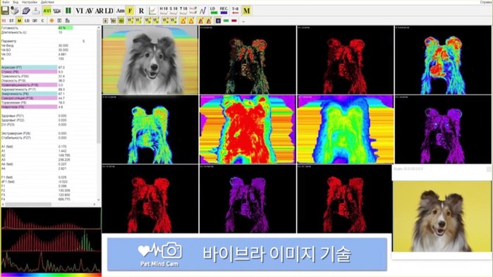 펫마인드캠, TV동물농장 통해 반려견 감정상태 분석 눈길
