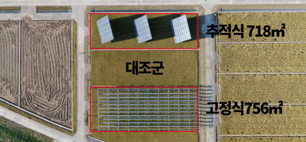[태양광, 지구 살리는 기술] ⑭국립식량과학원, 추적식 영농형 태양광 연구 산실로…태양 쫓는 푸른빛 해바라기 관심↑