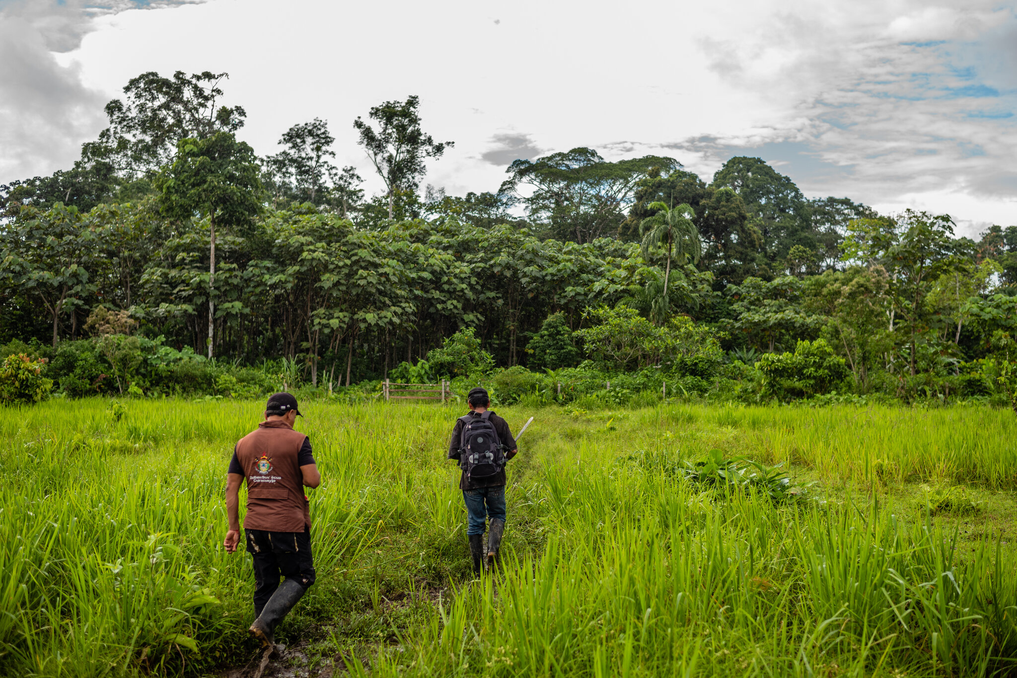 In the Amazon, a U.N. Agency Has a Green Mission, but Dirty Partners