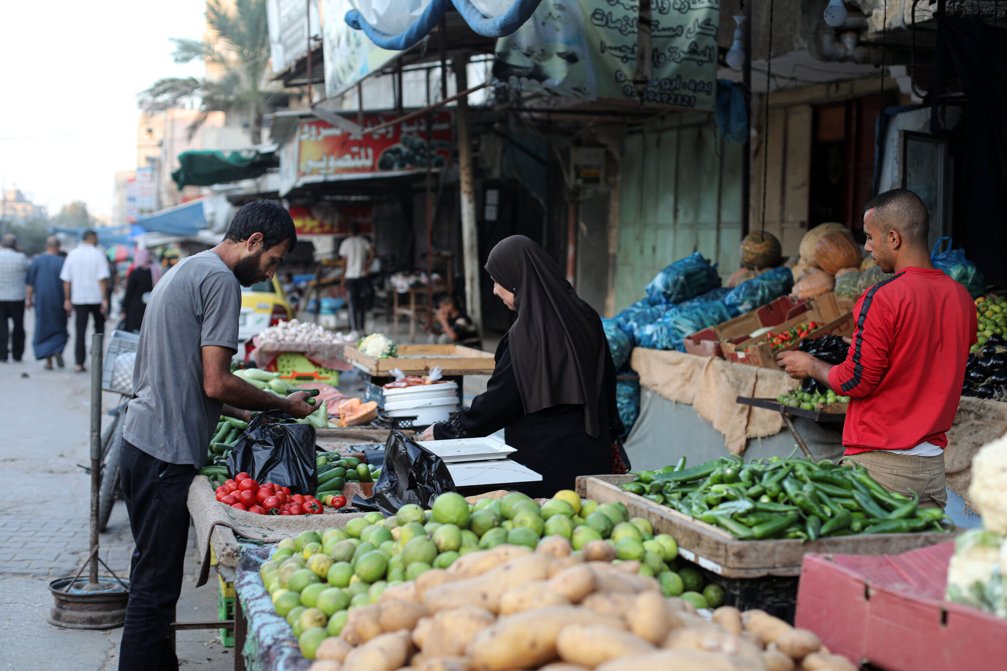 Conflict in Israel and Gaza, in Photos