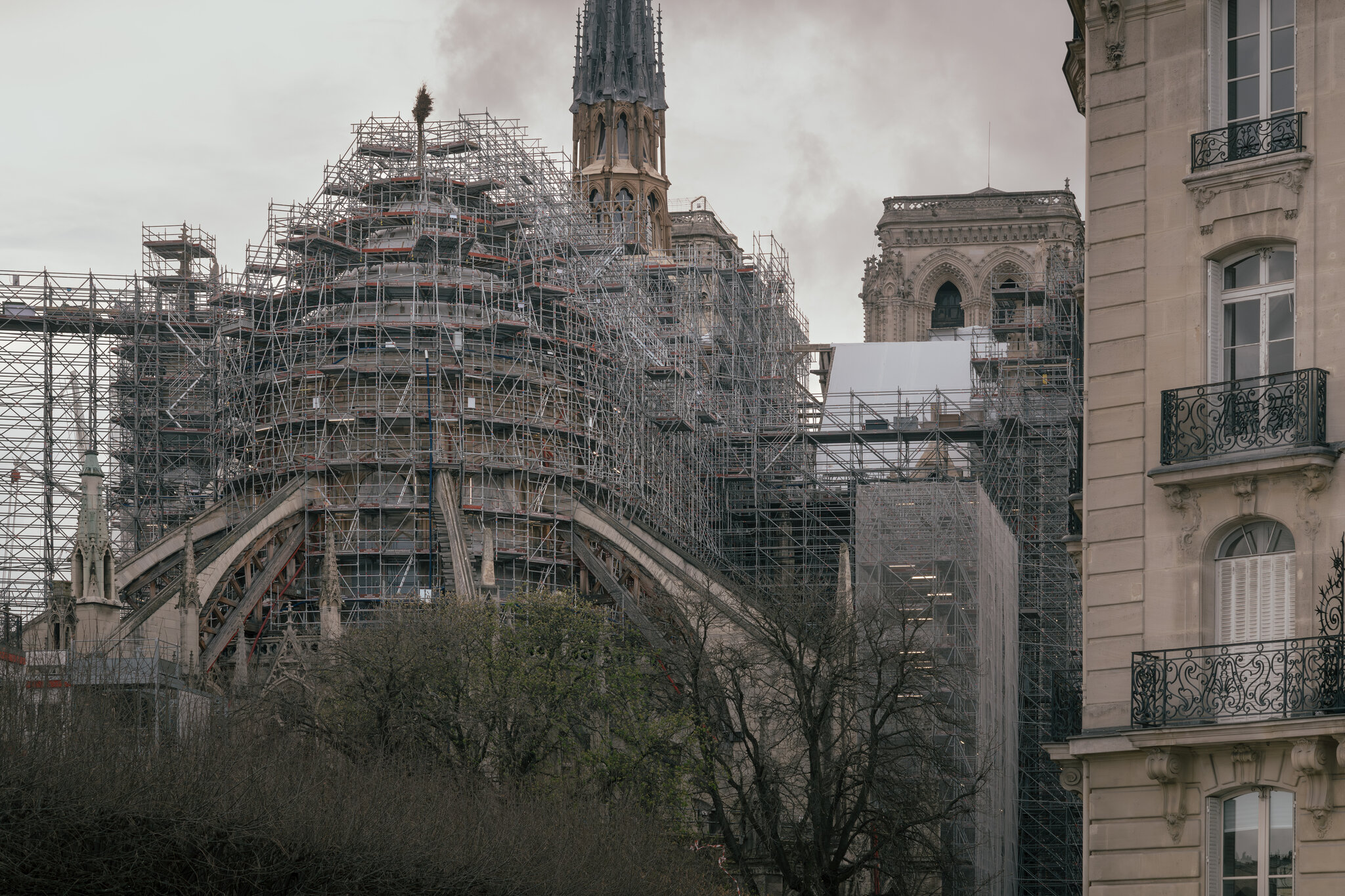 From New England to Notre-Dame, a U.S. Carpenter Tends to a French Icon