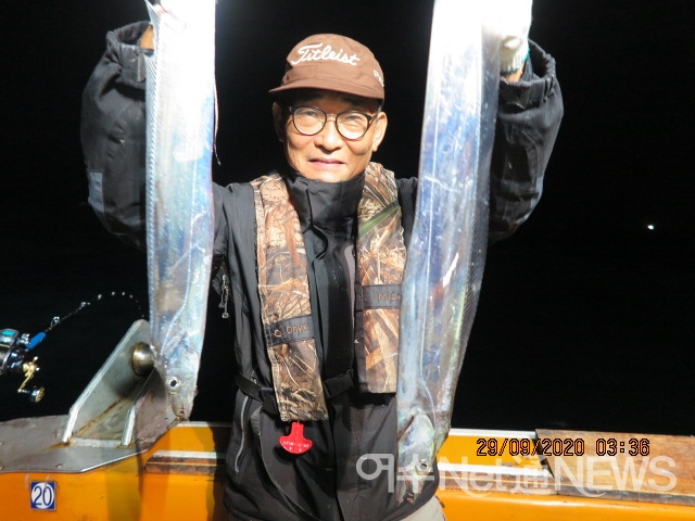 코로나에도 갈치는 만선, 한번 나가면 쿨러 가득