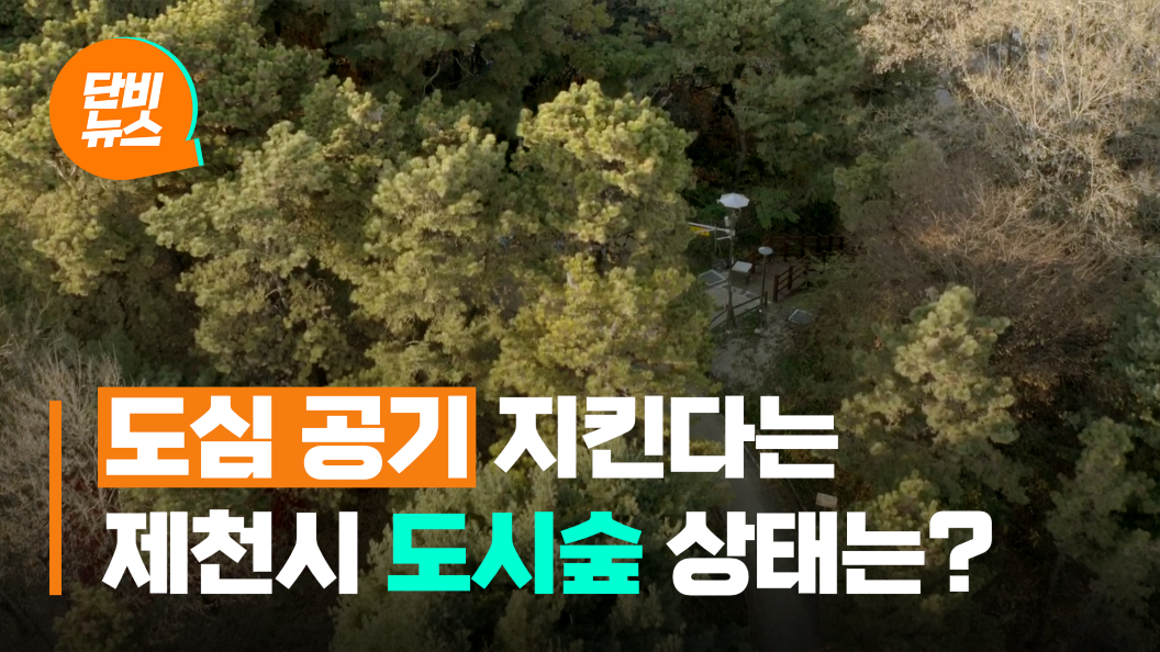 도심 공기 지킨다는 도시숲, 관리 제대로 하나?