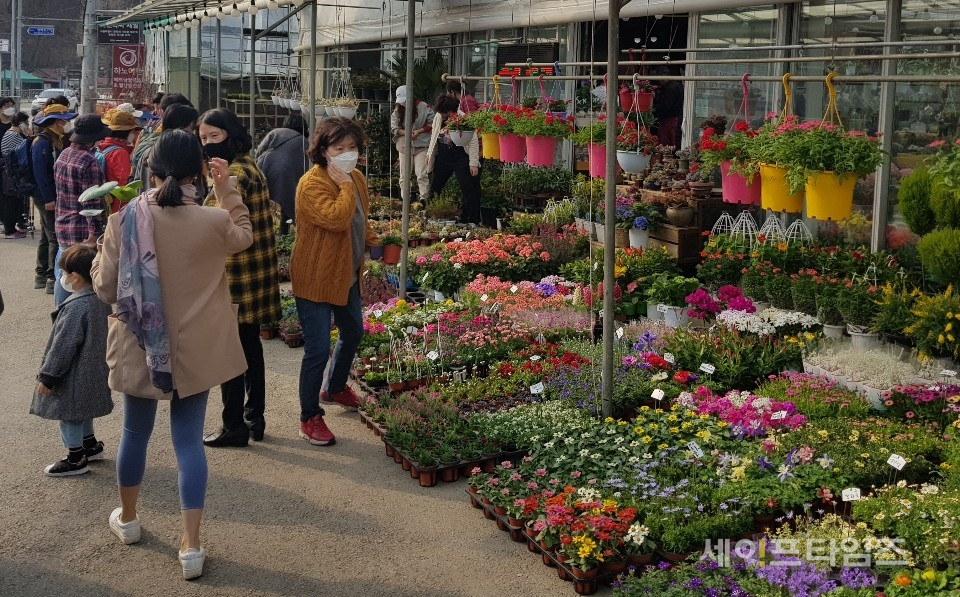 [세이프타임즈 날씨] 전국 맑고 포근함 일교차주의