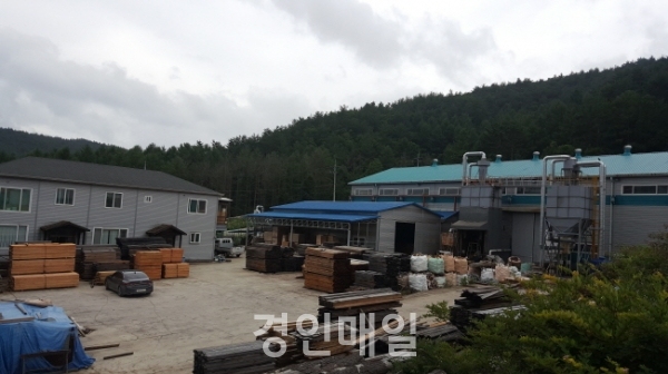 [경인매일 기업탐방] 자연과 사람을 이어주는 (주)나무나라