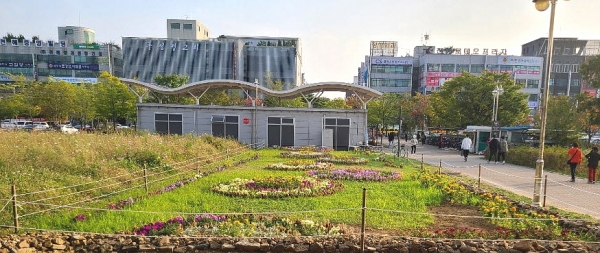 안산시 단원구, 중앙역 일대 가을꽃 화단 조성