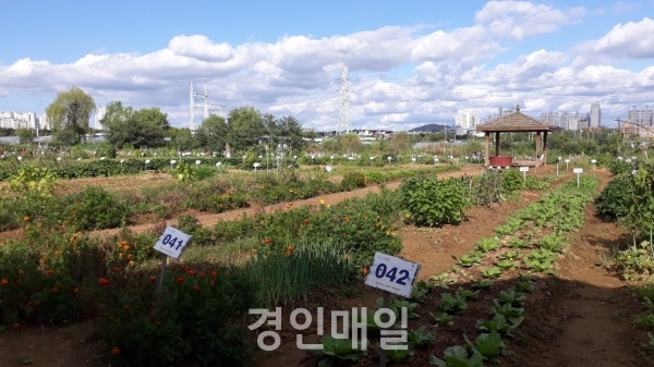 남동구, 19일까지 공공주말농장 분양 신청 접수
