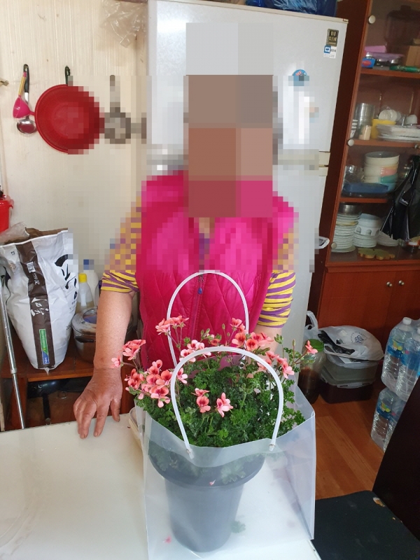 동두천시 생연동 그린화원, 불현동 취약계층에 봄맞이 화분 후원
