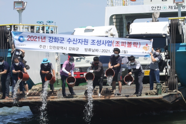 강화군, 수산자원 확보 위한 조피볼락, 꽃게 등 지역특산 어종 육성