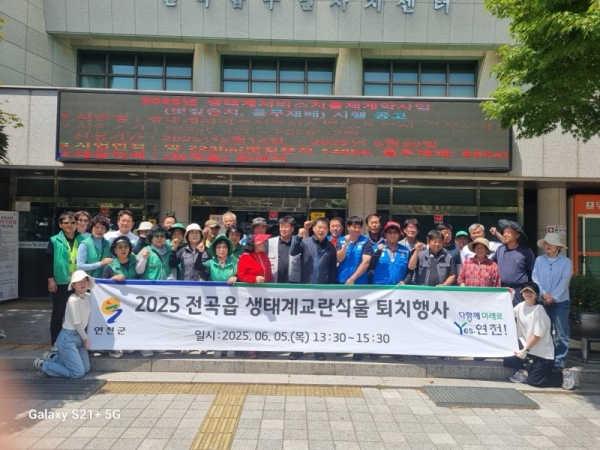 연천 전곡읍, 세계 환경의 날 맞아 생태계교란식물 퇴치활동