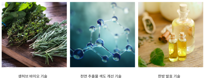 [단독] 올해 3Q 예상 매출액 증가율 1위 화장품주는 콜마비앤에이치. 왜?