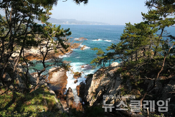 [오, 여행] 이천리 해파랑길… 해파랑길13코스 새로운 도약을 준비하는 양포항에서 구룡포항까지 화려한 해변 길