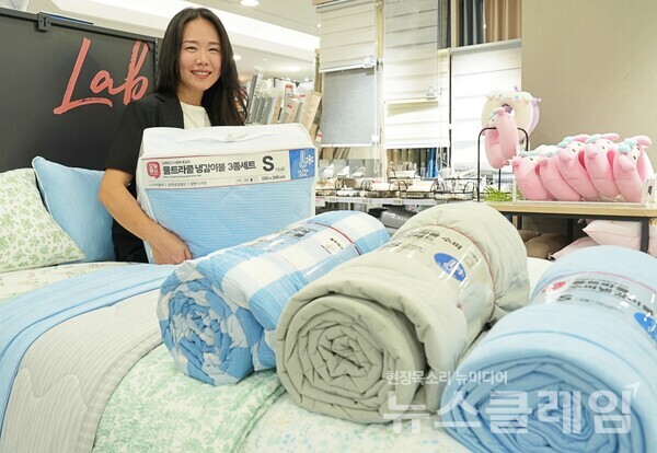 롯데마트 이마트 홈플러스 대형마트 휴무일, 이번주 일요일 장보기 가능할까