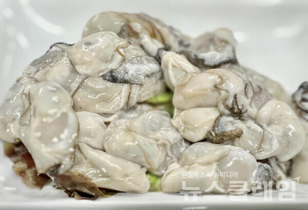 [식사합시다] 삼성동 맛자랑