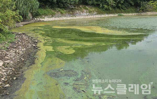 4대강 찬동인사가 국립생태원장 후보? 부적절