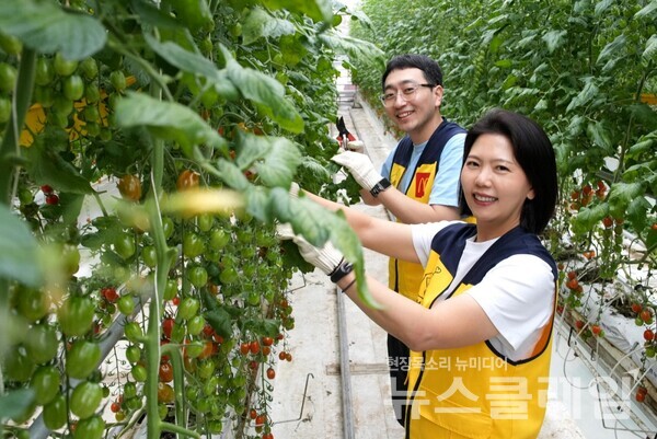 특별한 창립기념일… 한국맥도날드 임직원, 푸르메소셜팜 봉사