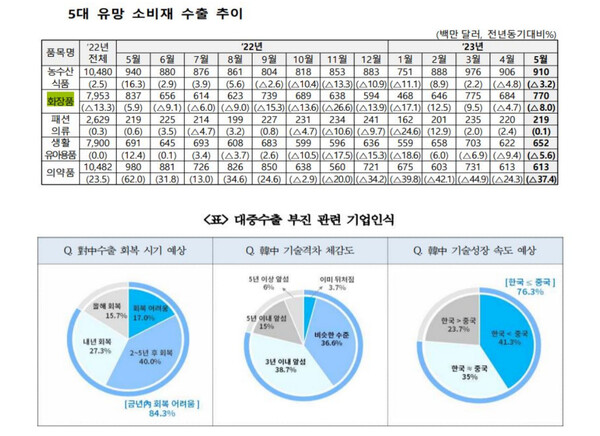 [뉴스락 특별기획] K-뷰티,  차이나 쇼크 딛고 2023 리오프닝 시대 열까