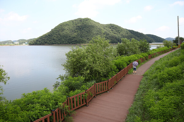 [저수지이야기]《7》5천세대 아파트 숲의 침범 반월호수
