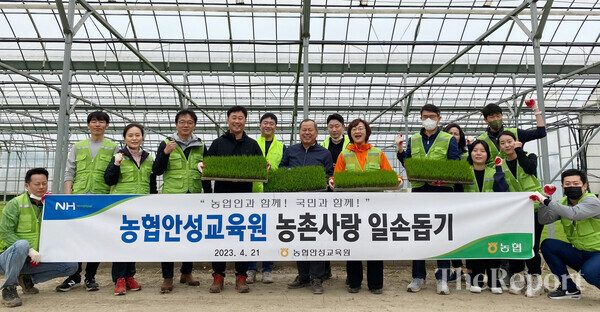 농협 안성교육원, 봄철 농번기 육묘장 일손돕기