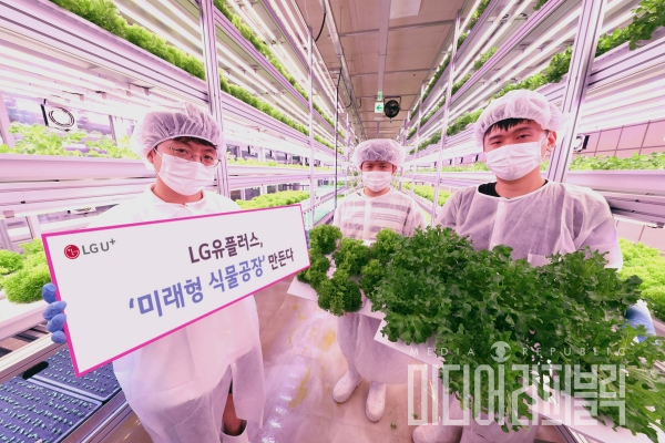LG유플러스, 식물공장 기업 팜에이트와 안심 먹거리 제공 스마트팜 사업 추진