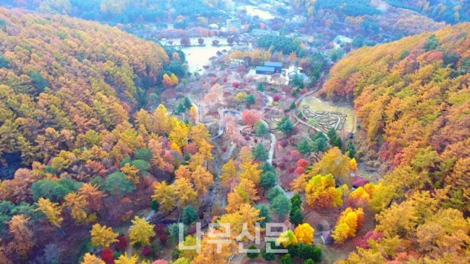 유명산자연휴양림 야간 개장 야(夜)행