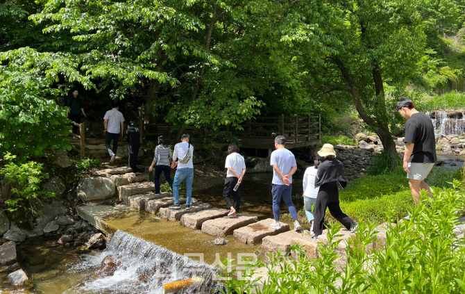 한국산림복지진흥원, 산재 근로자 대상 산림치유프로그램 운영