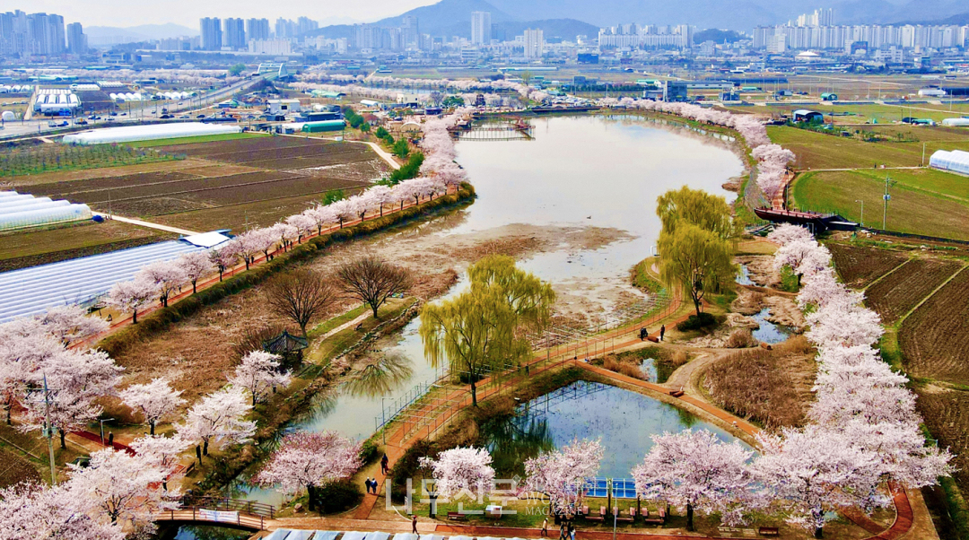 올해의 모범 도시숲 5곳 선정