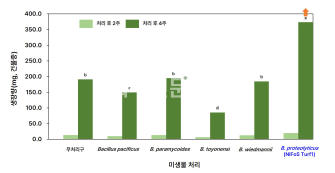 국립산림과학원, 생육 개선·병해 방제에 효과적인 신규 미생물 특허 출원