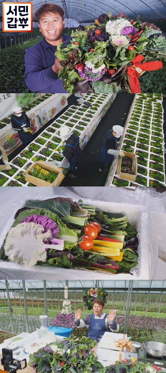 서민갑부 쌈 채소 농장, 신선도 위해 당일 수확 당일 발송