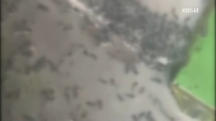 ‘벌레순대’ 논란 진성푸드, 납품업체 공개돼 시민들 ‘후덜덜’...사측 악의적 보도, 법적대응 할 것