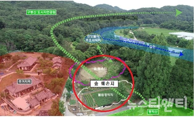 대전시, 서구 반디가 사는 미선나무 숲 복원사업 추진