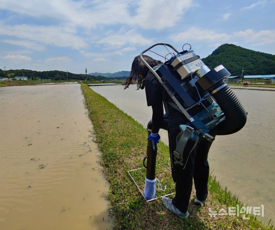 논두렁 태우기 그만…해충방제 효과 없어