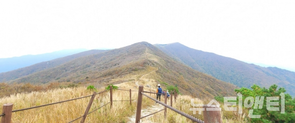 [여행 픽] 가을 낭만 즐기러~ 단양 소백산
