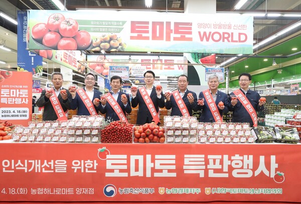 농협, 안심하고 먹을수 있는 토마토 할인 판매
