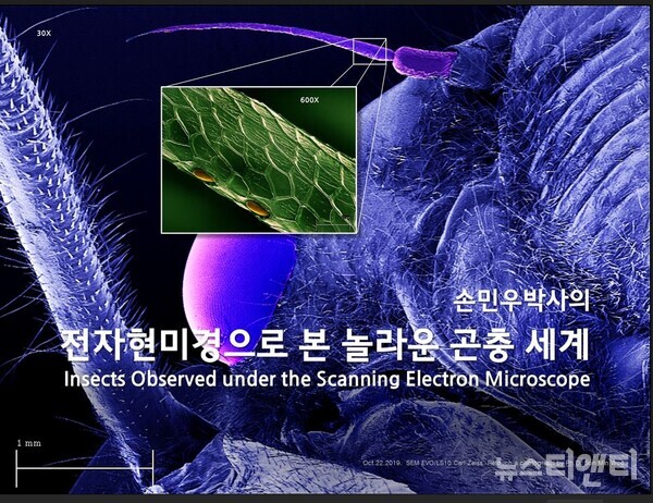 부안누에타운, 기획 작품 순회 전시 진행