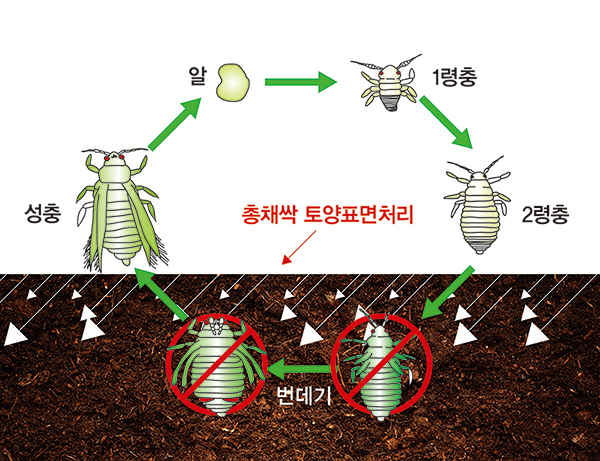 팜한농, 해충 번데기 방제 생물농약 개발성과 인정