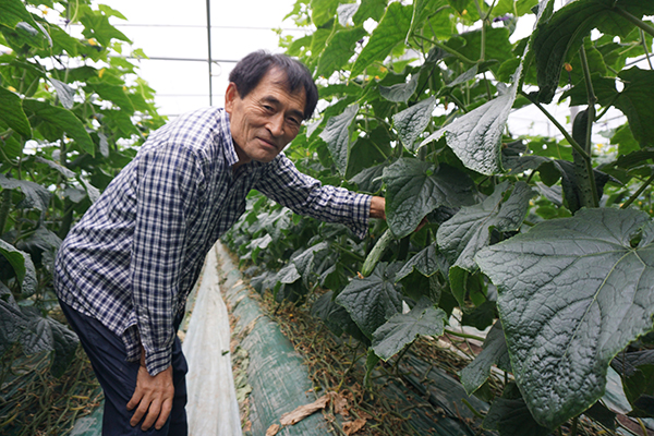 김장수 순천원예농협 조합원