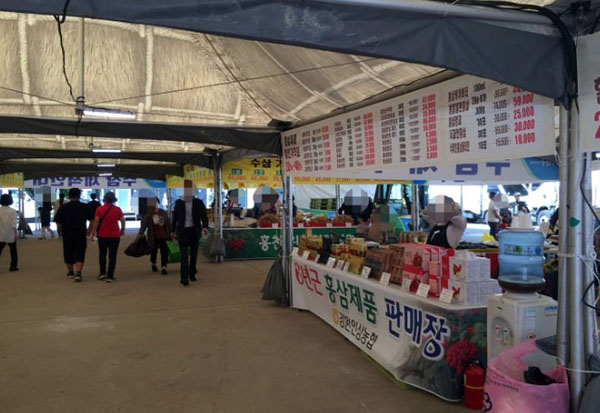풍기·금산·강원인삼축제 동시 팡파르