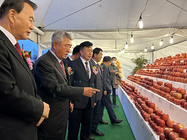제19회 예산황토사과축제 성료