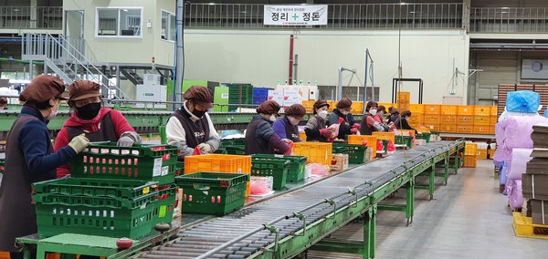 충북원예농협, 품목농협 전문화부문 업적평가 1위 영예