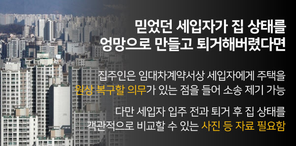 집이 다 망가졌어요…개 키우던 세입자에 보상받을 방법은