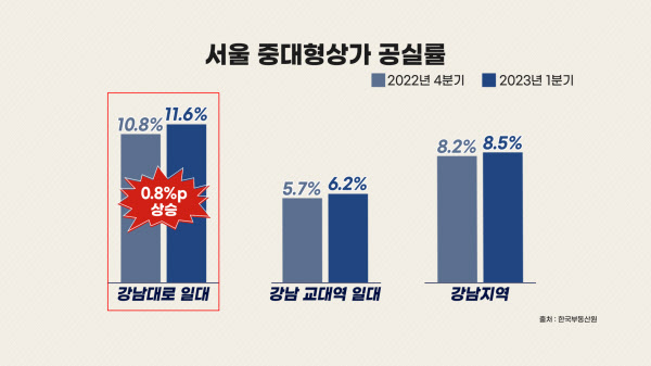 전국 최고 상권인데 빈 곳 수두룩 강남대로 유독 장기 공실 많은 이유