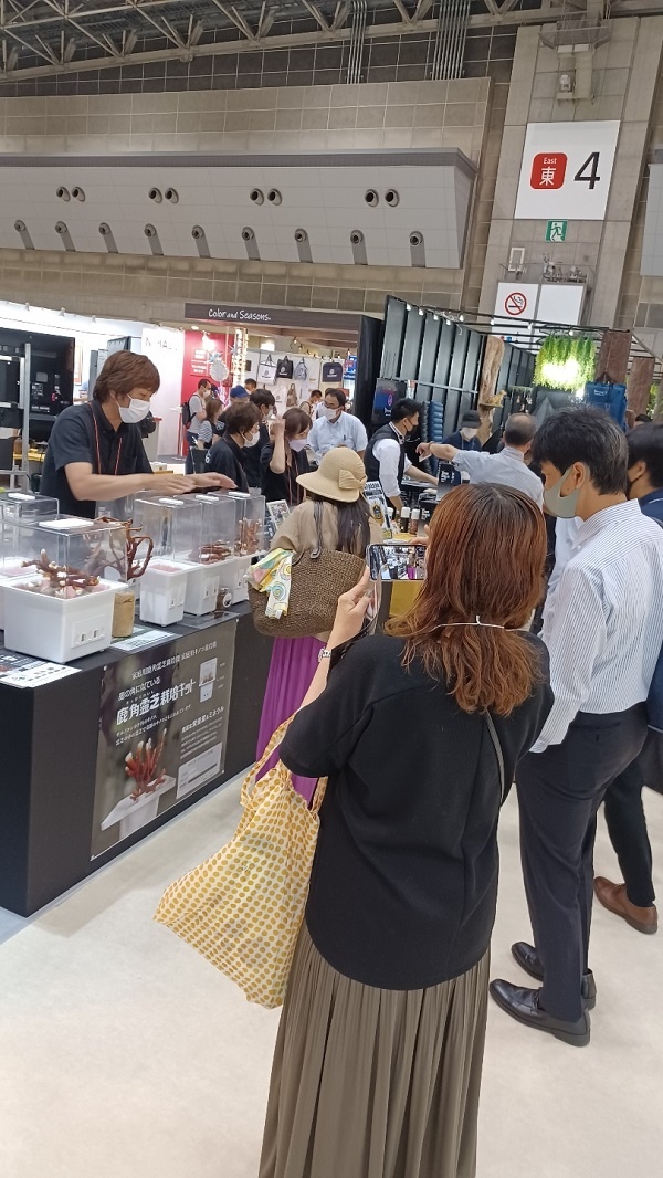머쉬웰, 국제잡화 엑스포 일본 도쿄 빅사이트 참가