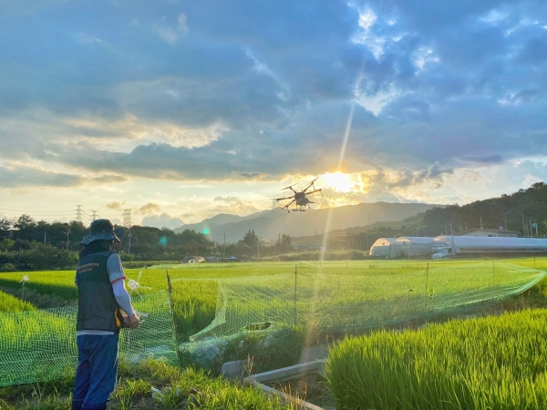 (주)해오름드론항공, 김천대학교 평생교육원`김천농협과 김천 일대 방제 시행