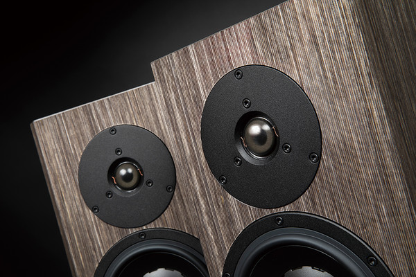 Dynaudio Special Forty & Plinius Hautonga