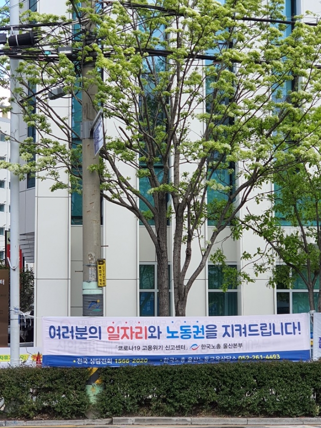 [울산/강원/경북본부] 코로나19 대응 한국노총 전국 동시 현수막 게시 캠페인9~11