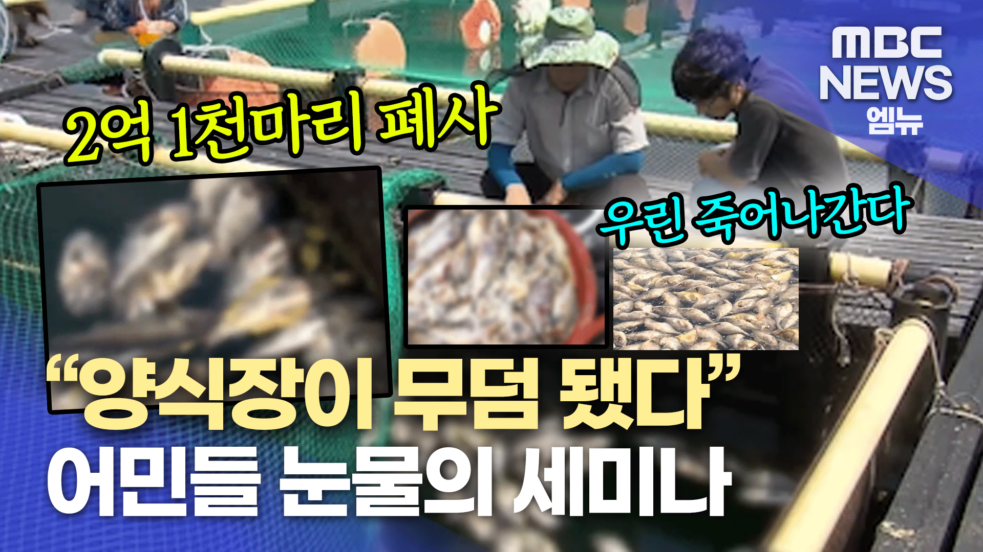수산양식 업계 불만 폭발