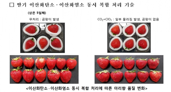 신선도 유지기술로 수출‧유통 박차