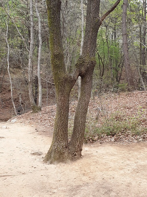 영종도 백운산의 보물 연지리
